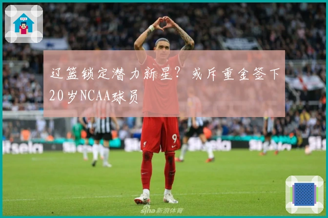 辽篮锁定潜力新星？或斥重金签下20岁NCAA球员