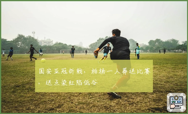 国安亚冠折戟，柏杨一人葬送比赛，送点染红陷低谷
